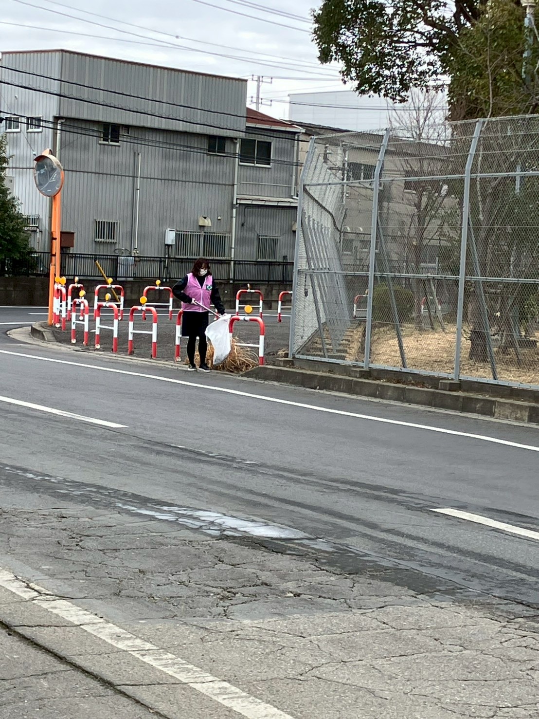 活動写真2