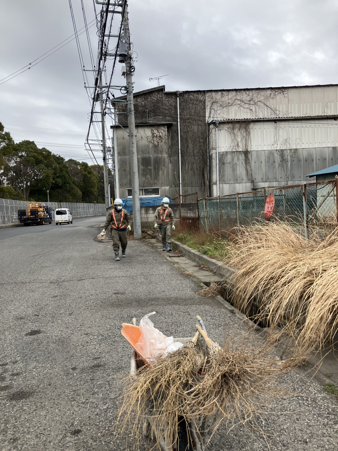 活動写真4