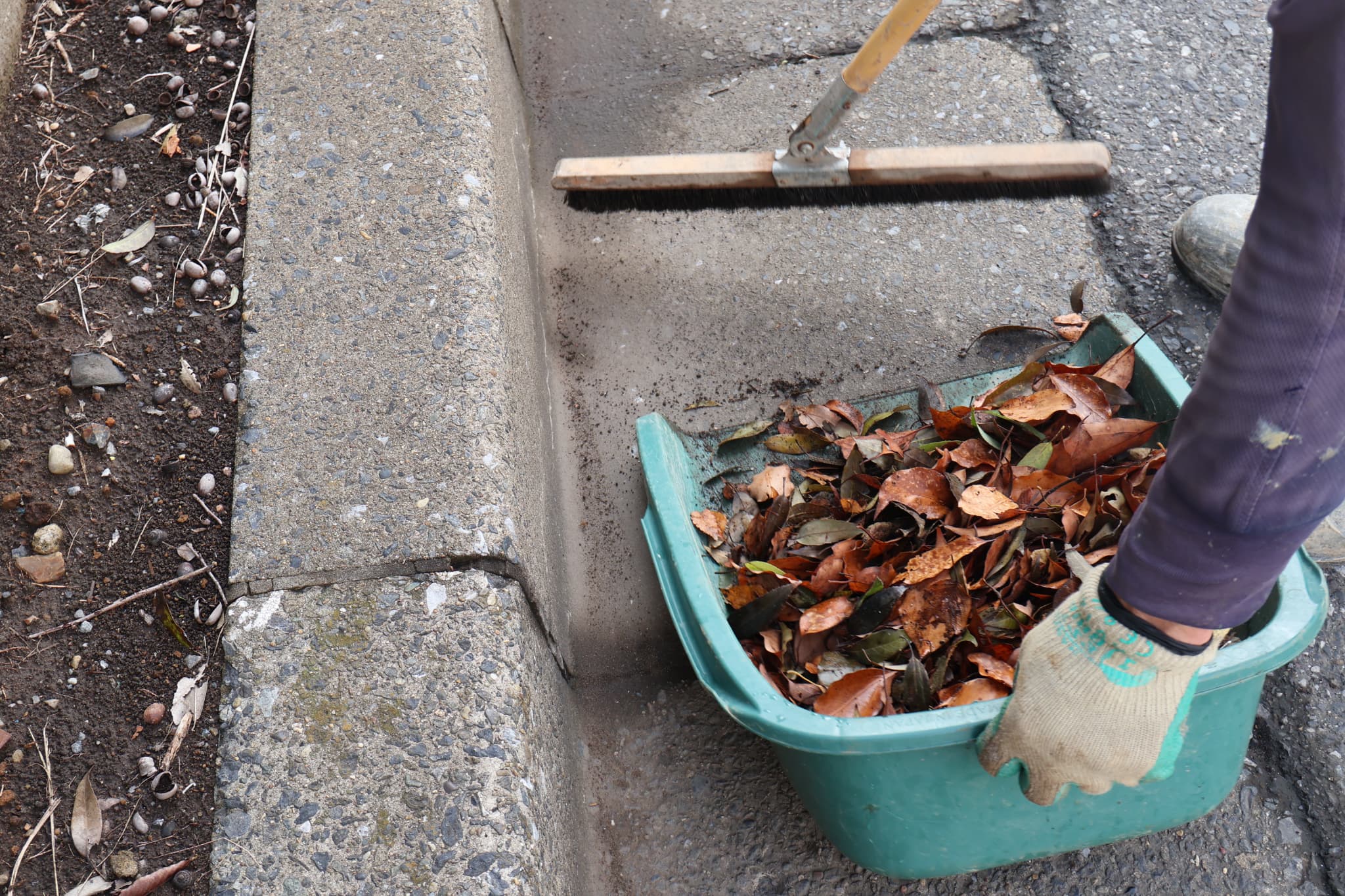 活動写真6